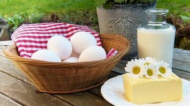 Sitting rules on a protein diet